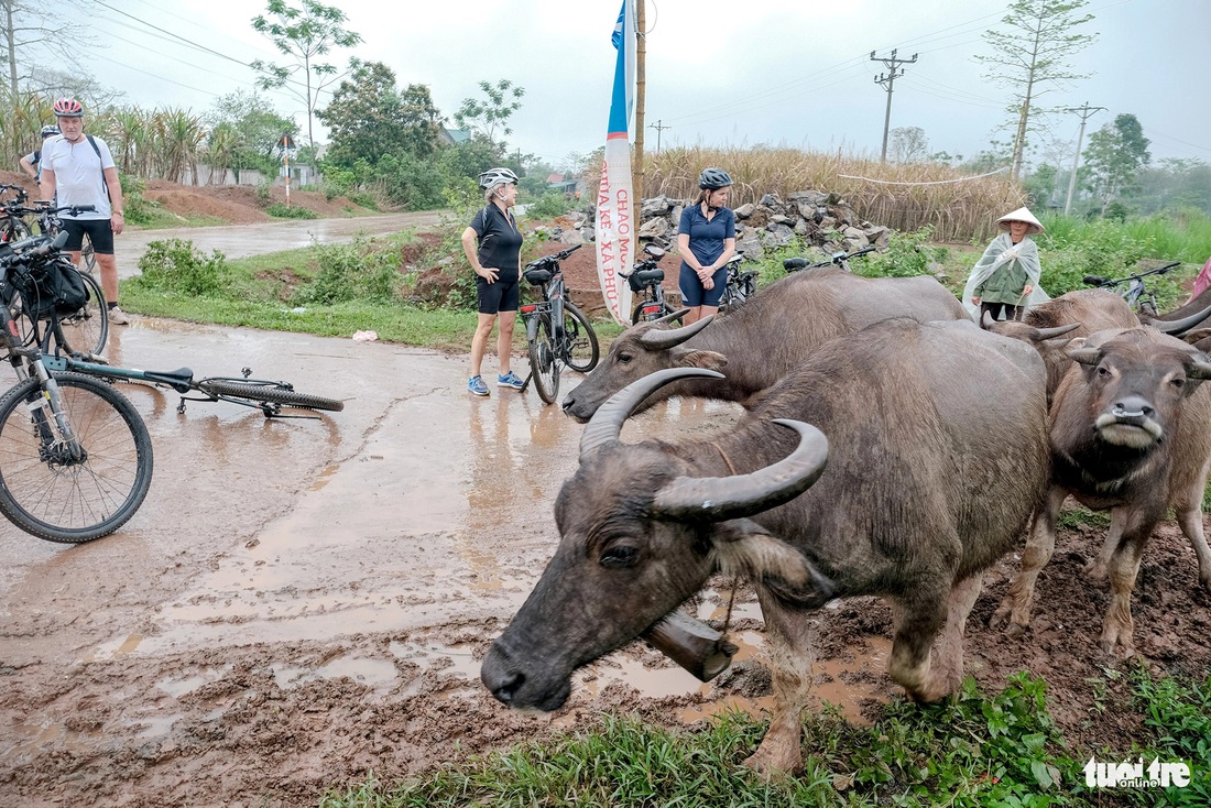 Người nông dân ra đồng với những chú trâu là những hình ảnh để lại nhiều cảm xúc cho du khách