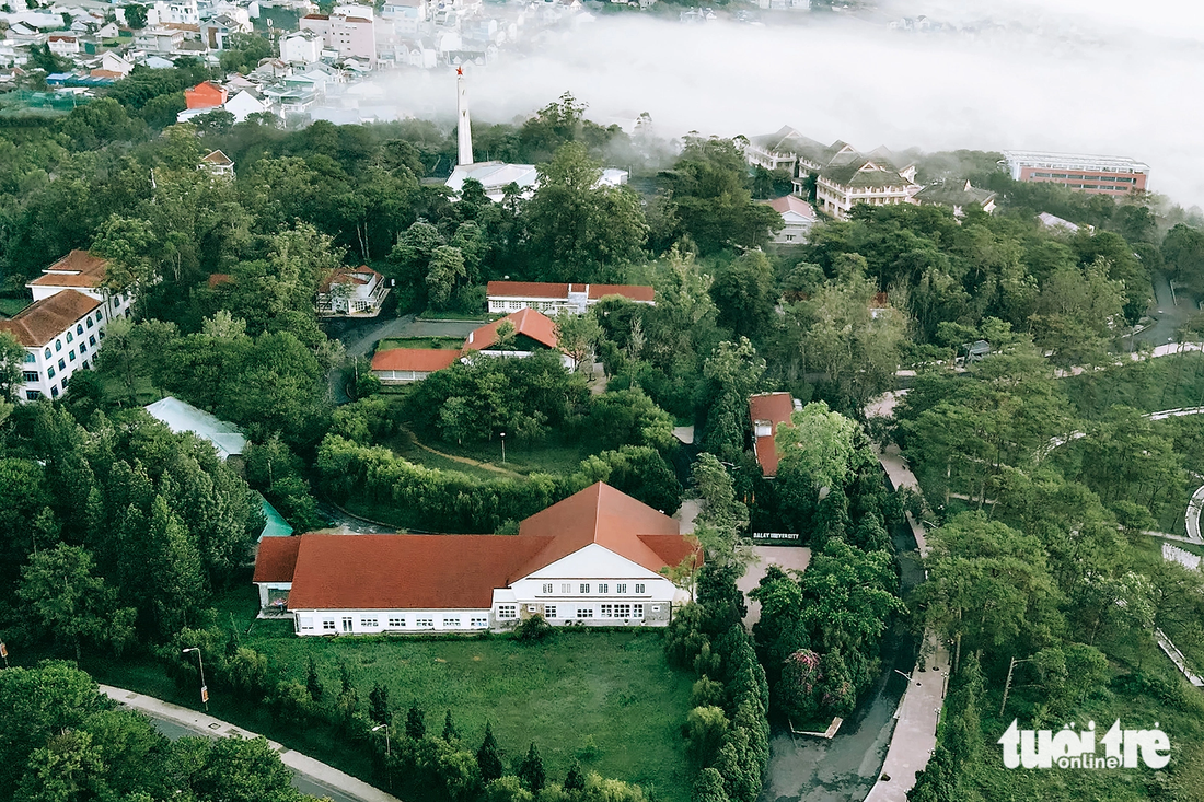 Khuôn viên Trường đại học Đà Lạt là công sở có mảng xanh lớn nhất Đà Lạt - Ảnh: KỲ PHONG