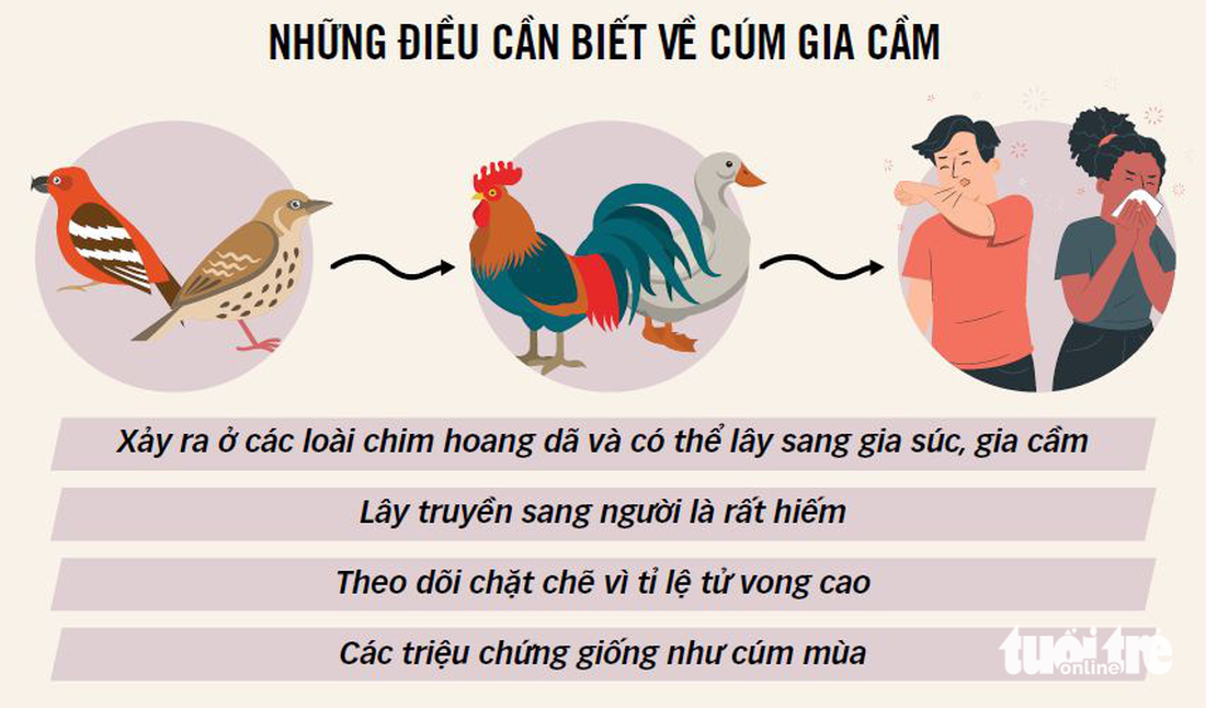 Khi nào xét nghiệm xác định cúm gia cầm H5N1? - Ảnh 1.