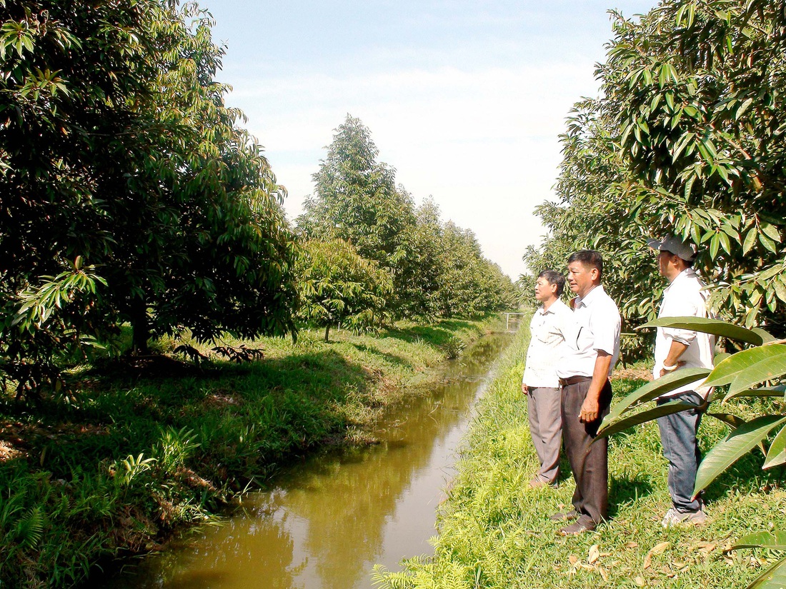 Đại diện UBND xã Tân Kiều, huyện Tháp Mười, tỉnh Đồng Tháp khảo sát vườn sầu riêng trồng mới - Ảnh: Đ.TUYẾT