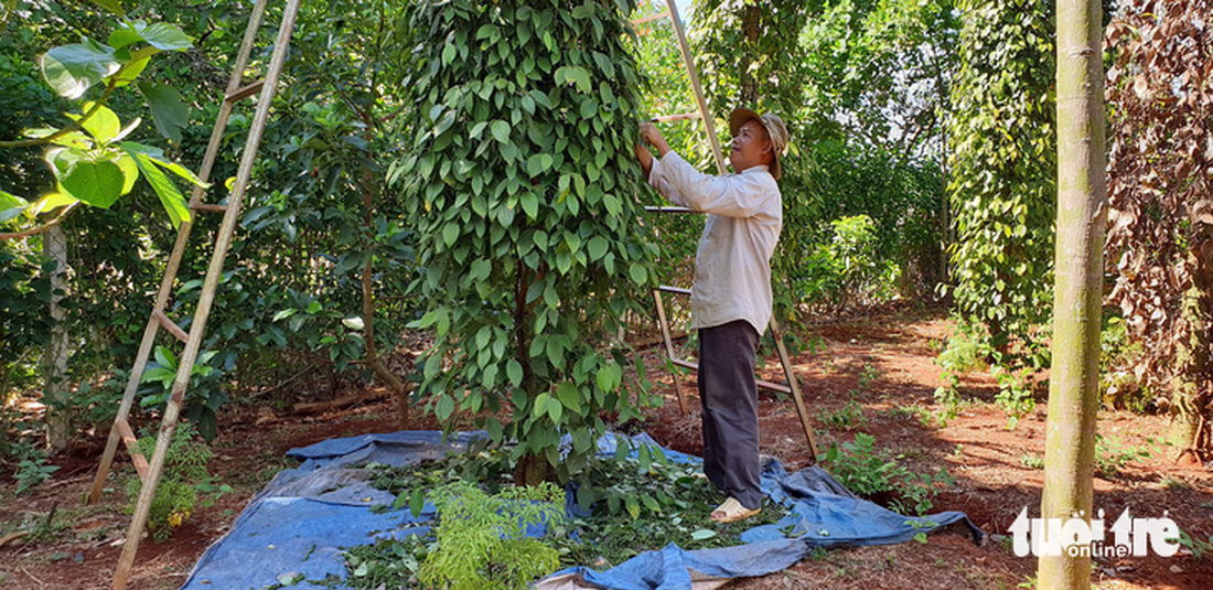 Tin tức sáng 5-3: Việt Nam giảm trên 400 tàu biển trong hơn 10 năm; TP.HCM quá ít tiền để chống ngập - Ảnh 2.