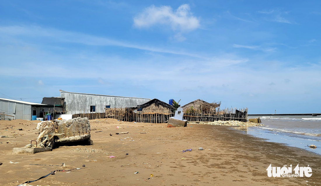 Làng ‘chạy lùi’ né sạt lở ở cửa biển Trà Vinh - Ảnh 4.