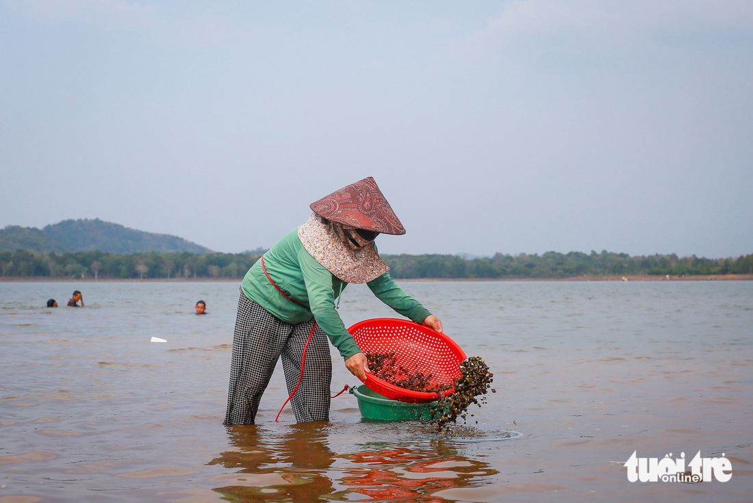 Mùa hến về giữa đại ngàn Ea Kao - Ảnh 6.