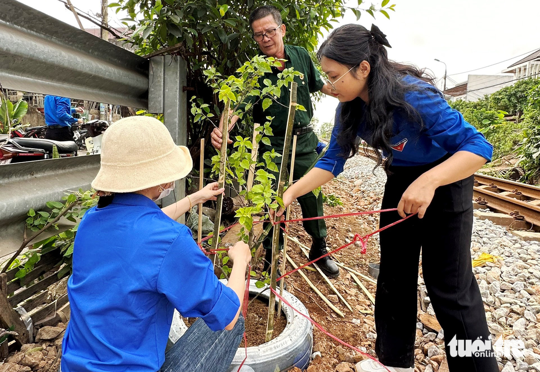 Đoàn thanh niên, nhân viên đường sắt, cựu chiến binh trồng hoa giấy dọc đường sắt ở Quảng Trị - Ảnh: LÊ HẢI