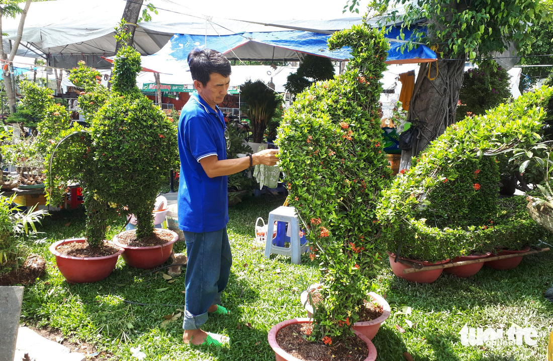 Ngắm hàng ngàn chậu bonsai độc lạ, có chậu cả tỉ đồng - Ảnh 7.