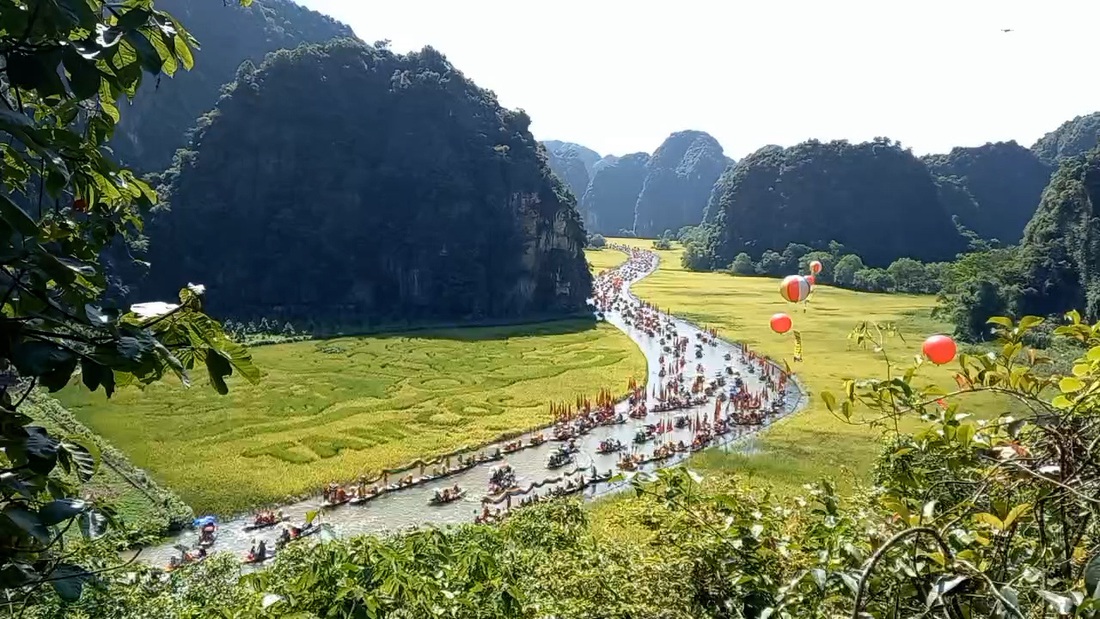 ‘Sắc vàng Tam Cốc - Tràng An’ gọi mời du khách về thăm lúa vàng - Ảnh 1.