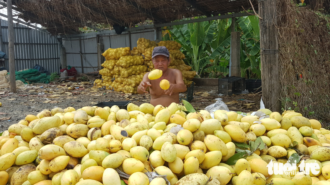 Tin tức sáng 7-5: Novaland, Phát Đạt bị mạo danh kêu gọi đầu tư - Ảnh 4.