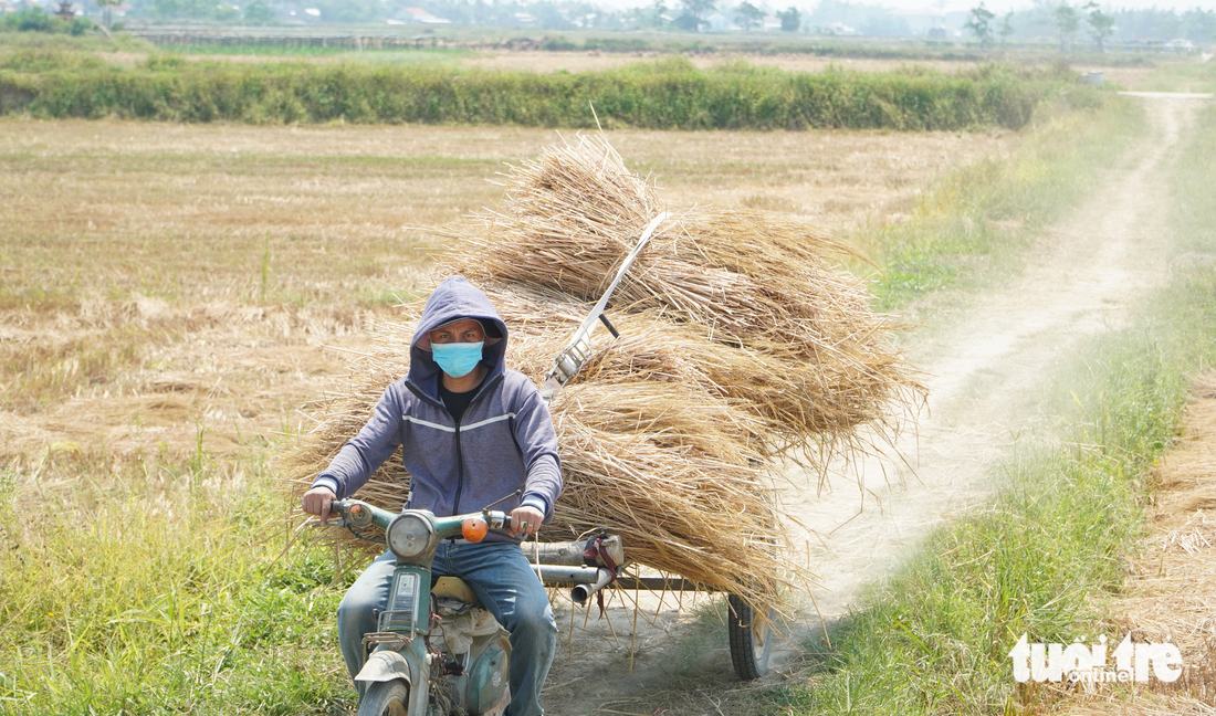 Chưa chính ngọ đã nắng như đổ lửa, dân gồng mình mưu sinh, chính quyền lo thiếu nước - Ảnh 1.