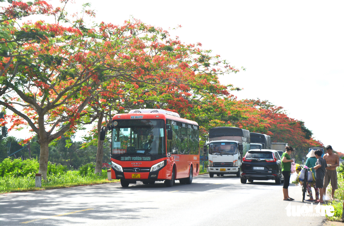 Ngắm hàng cây phượng vĩ rực rỡ giữa khung trời tháng 6 - Ảnh 2.