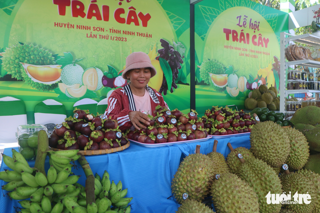 Lễ hội trái cây Ninh Sơn: người dân háo hức, mong chờ - Ảnh 2.