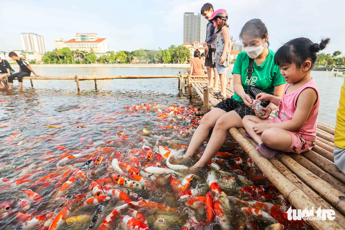 Người dân thủ đô thích thú check-in, cho cá koi hồ Tây ăn - Ảnh 4.