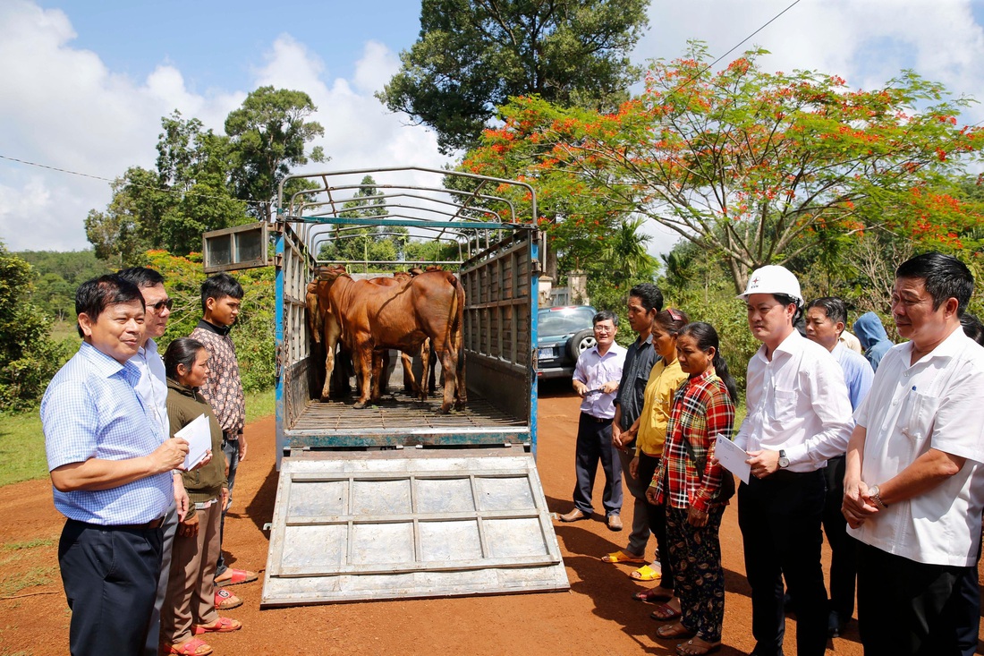 Hội Nhà báo Việt Nam trồng 3,4ha rừng ở Bình Phước - Ảnh 4.