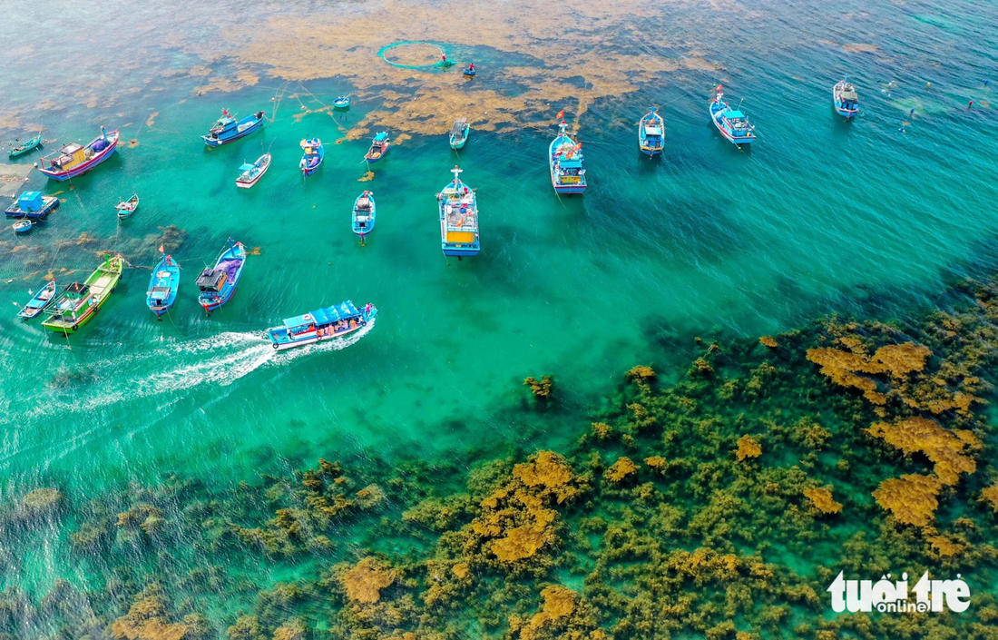 Biển Nhơn Hải trong vắt - Ảnh: HƯƠNG MAI