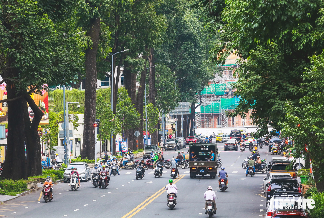 &quot;Cây dầu gắn bó với gánh hàng rong của nhiều thế hệ trong gia đình tôi. Thành phố càng phát triển thì cần phải tăng diện tích phủ xanh. Chỉ có như vậy mới tạo ra sự phát triển bền vững, biến thành phố thành điểm đến lý tưởng cho du khách trong và ngoài nước&quot;, ông Đức chia sẻ.