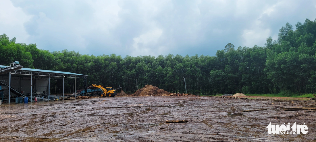 Các kho bãi rộng cả ngàn mét vuông hình thành sau quá trình tự ý san gạt đất rừng sản xuất - Ảnh: T.THẮNG