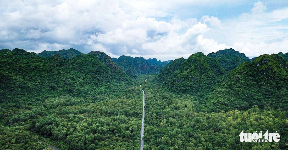 Rừng nguyên sinh tại Vườn quốc gia Cát Bà, TP Hải Phòng là môi trường sống của nhiều loài động thực vật quý hiếm, tạo sự đa dạng sinh học - Ảnh: NAM TRẦN