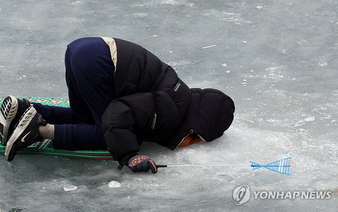 Cá ơi, cá đâu rồi! - Ảnh: YONHAP