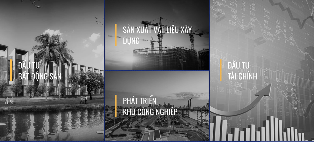 Website DRH Holdings - Ảnh chụp màn hình