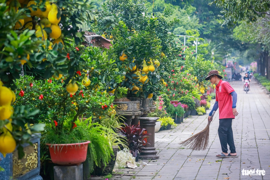 Các chủ vườn cây bưởi Diễn cho biết hiện tại vẫn chưa có nhiều khách đến mua, dự báo tình hình năm nay sẽ bán nhiều hơn vào thời gian cận Tết - Ảnh: CHÂU TUẤN