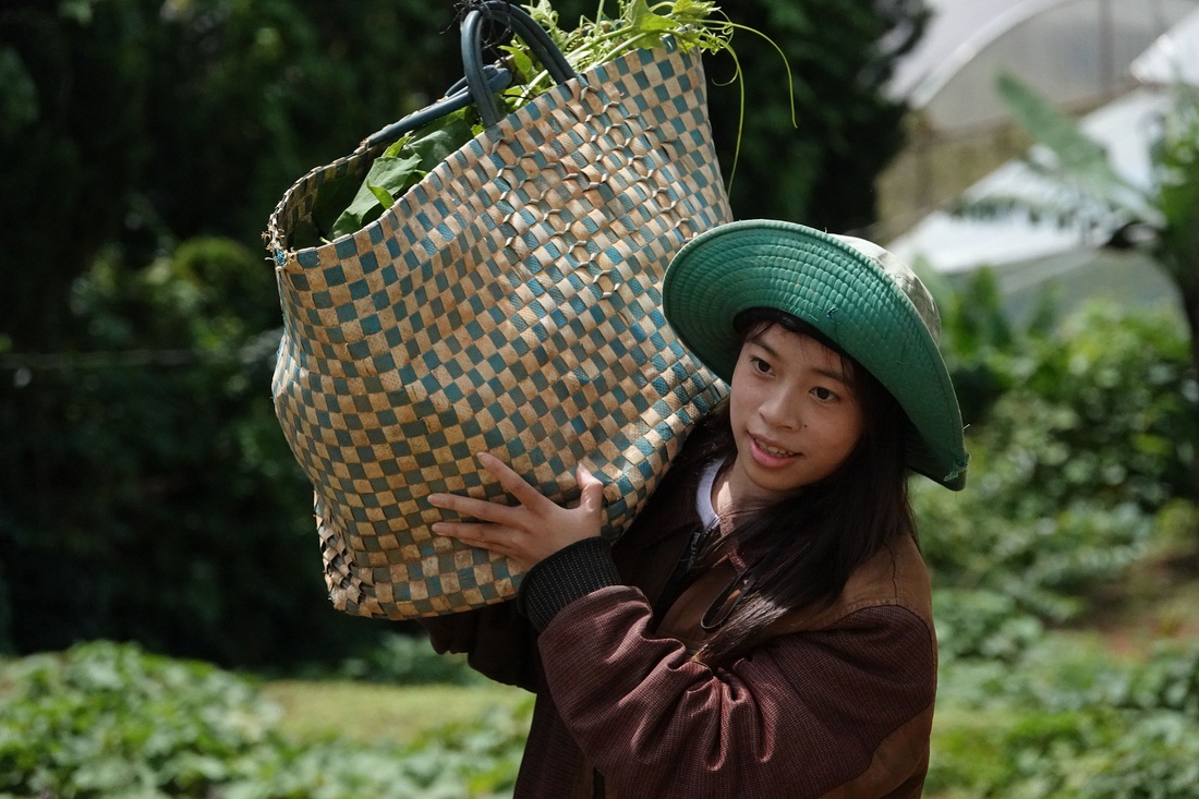 Cô gái mót rau con người bán ve chai ở Đà Lạt vào đại học - Ảnh 2.