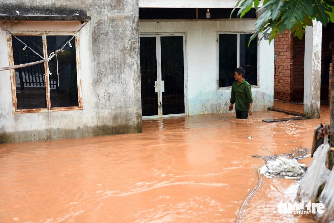 Người dân Biên Hòa khốn khổ chống lũ - Ảnh 2.