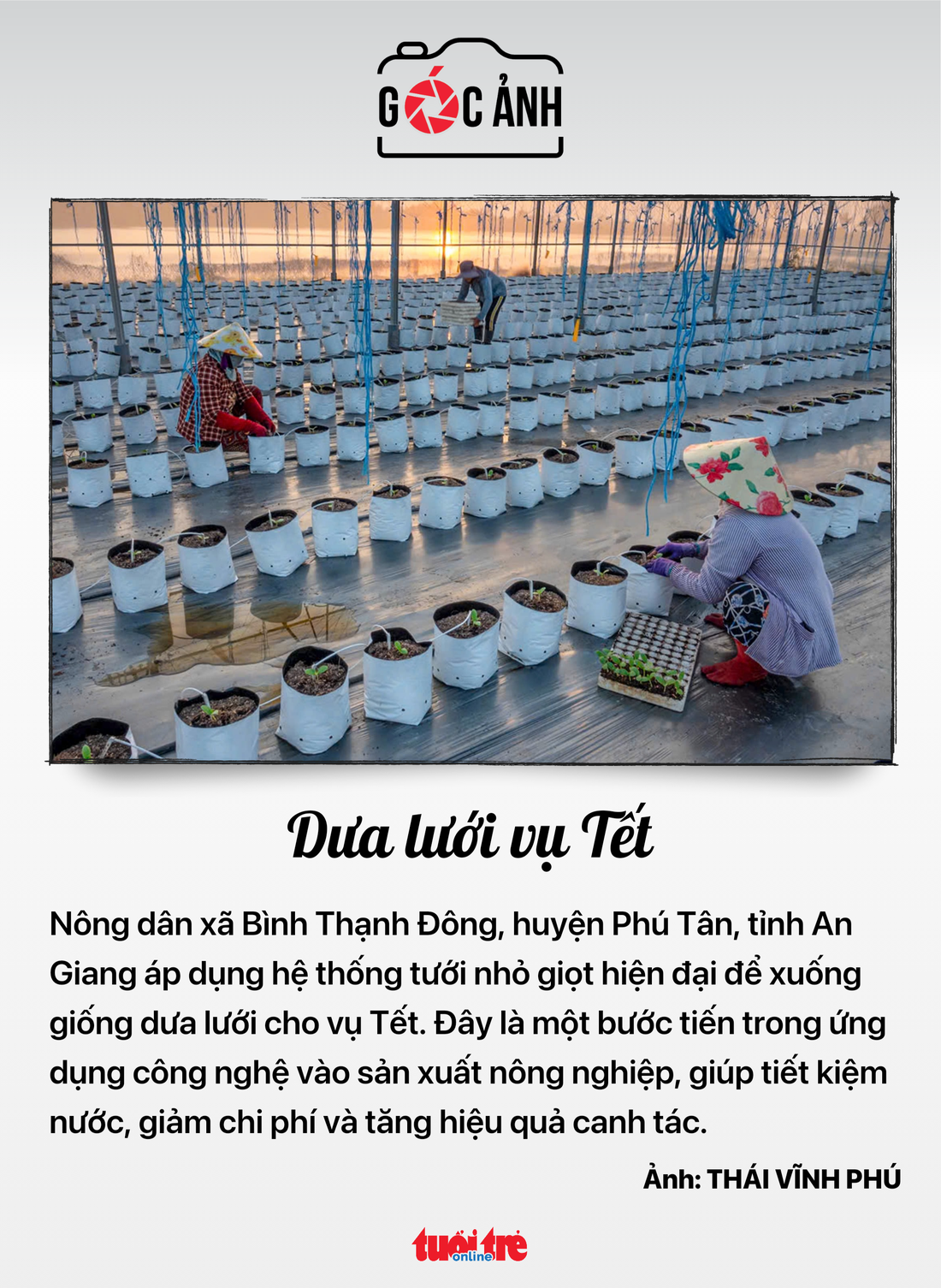 Tin tức sáng 9-12: - Ảnh 8.