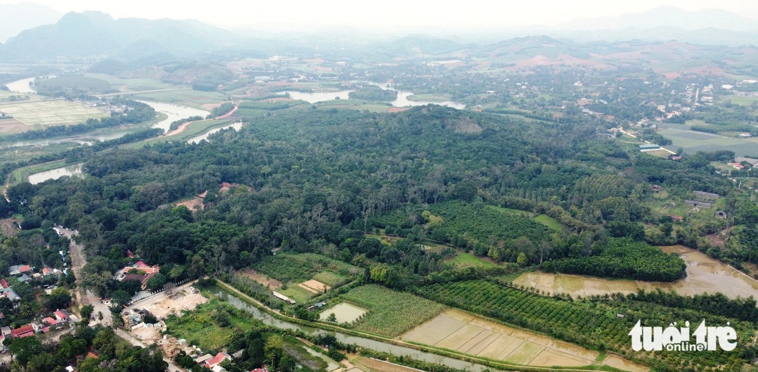 Rừng Lam Kinh nhìn từ trên cao - Ảnh: ĐOÀN CƯỜNG