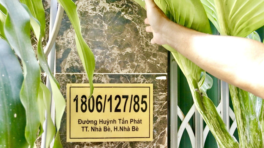 Một số nhà đã điều chỉnh, thay mới tại đường Huỳnh Tấn Phát, huyện Nhà Bè, TP.HCM - Ảnh: TIẾN QUỐC