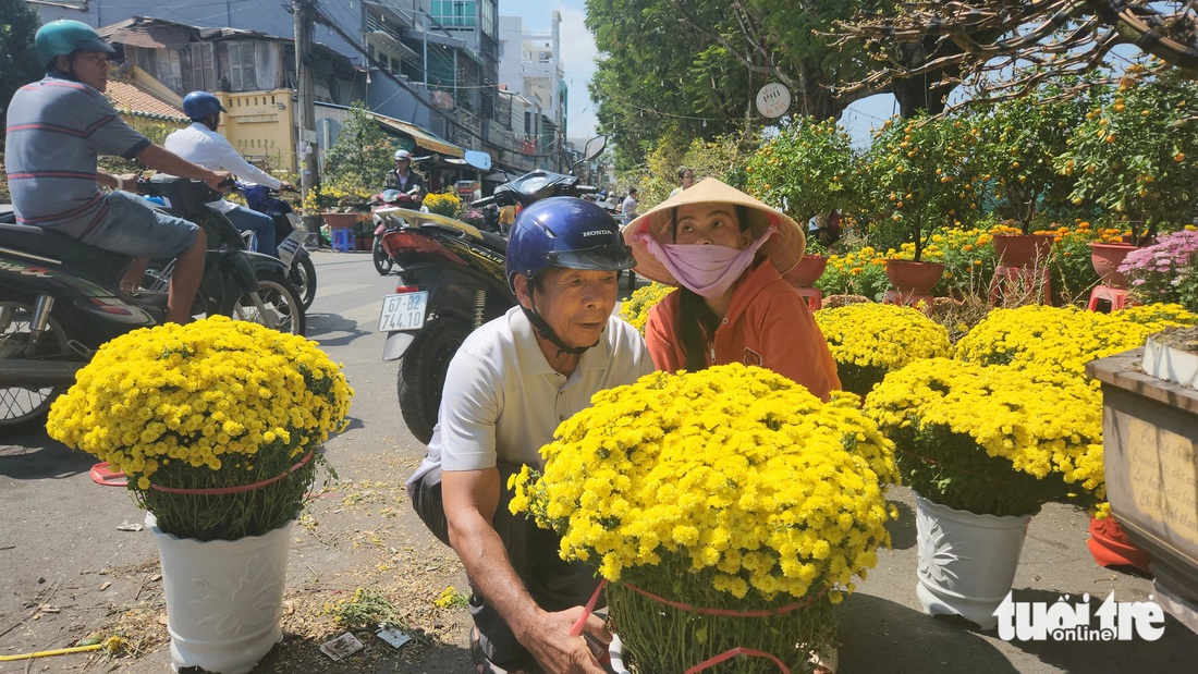 Cặp chậu cúc mâm xôi có giá 350.000 đồng được người khách mua cho chị Phan Thị Kim Định - Ảnh: BỬU ĐẤU