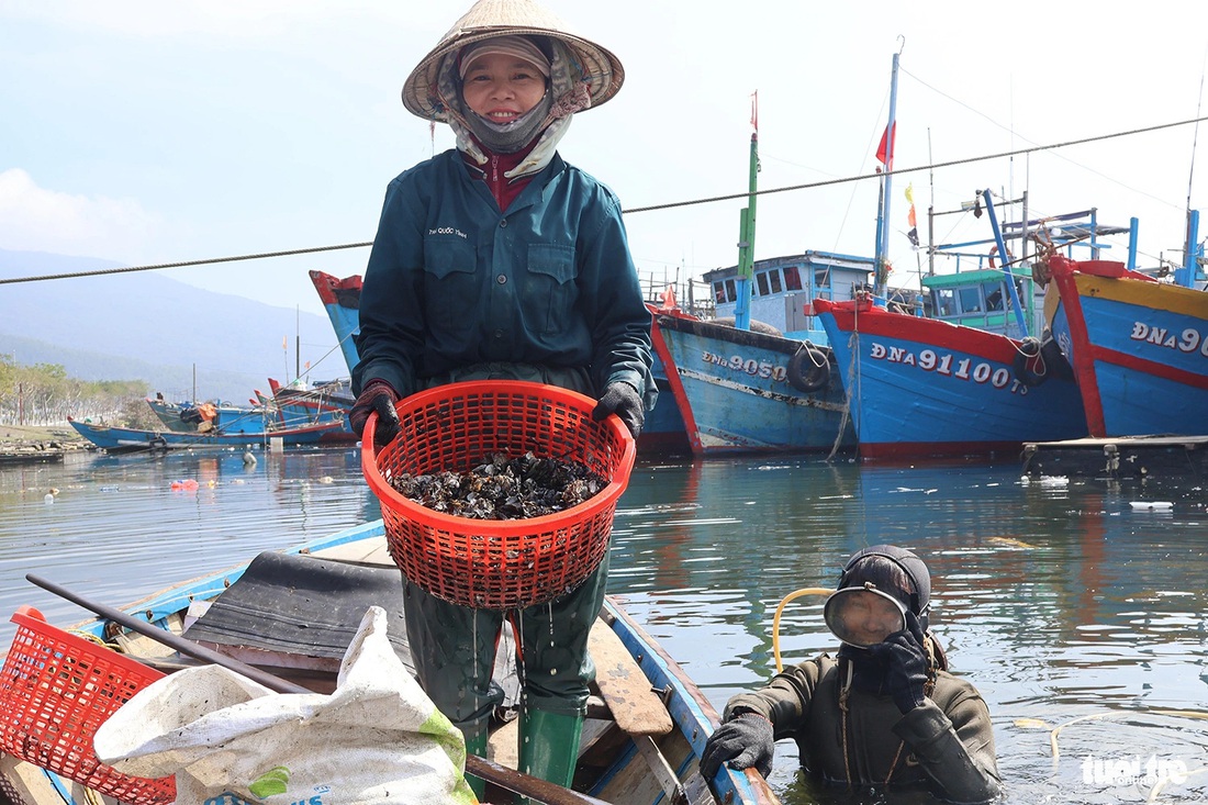 Hai vợ chồng ông Quyết mưu sinh bằng nghề săn vẹm - Ảnh: LÊ TRUNG