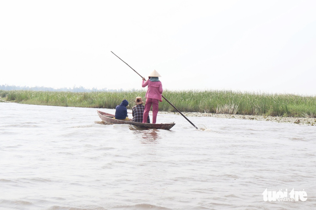 Du khách ngồi trên ghe len lỏi vào từng khu rừng sậy mùa này đang trổ hoa, không khí trong lành, mát mẻ - Ảnh: LÊ TRUNG