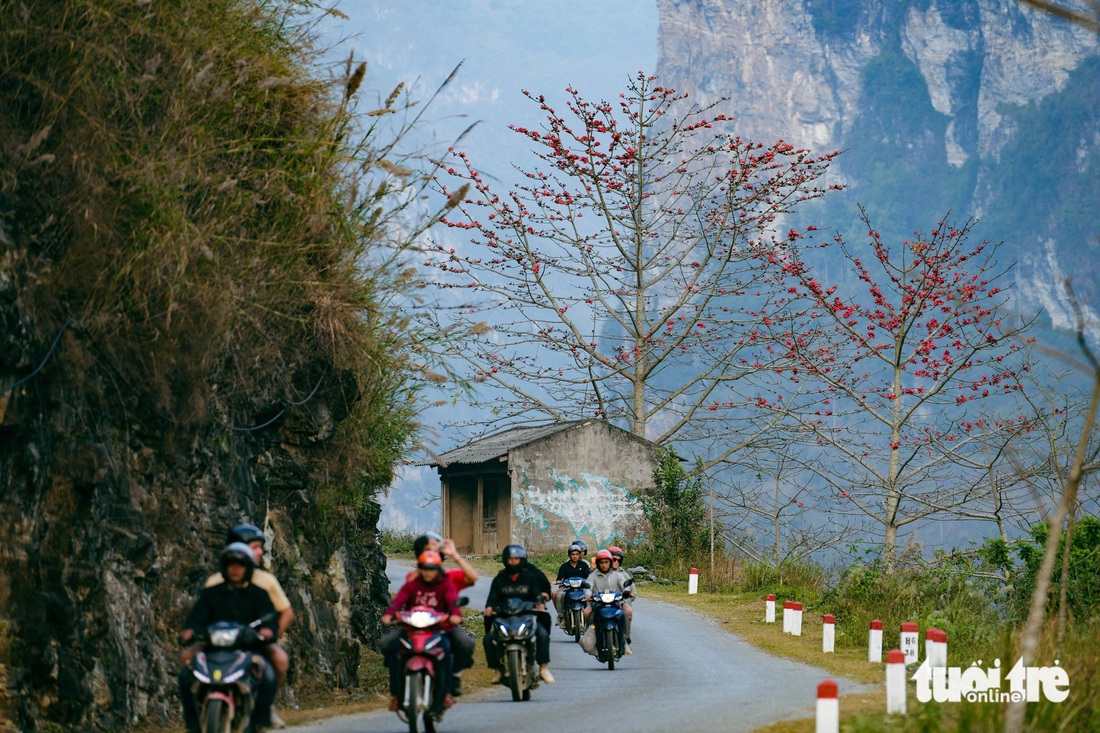 Cây hoa gạo trên cung đường đẹp nhất Du Già