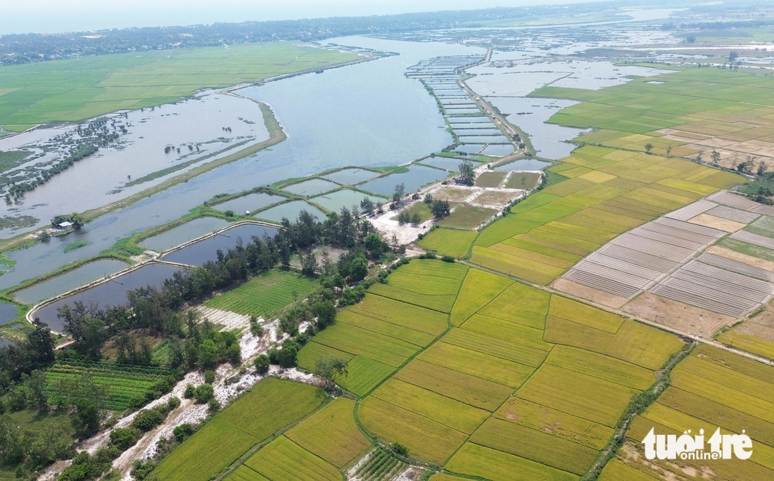 Khung cảnh đẹp nao lòng của sông Trường Giang - Ảnh: LÊ TRUNG