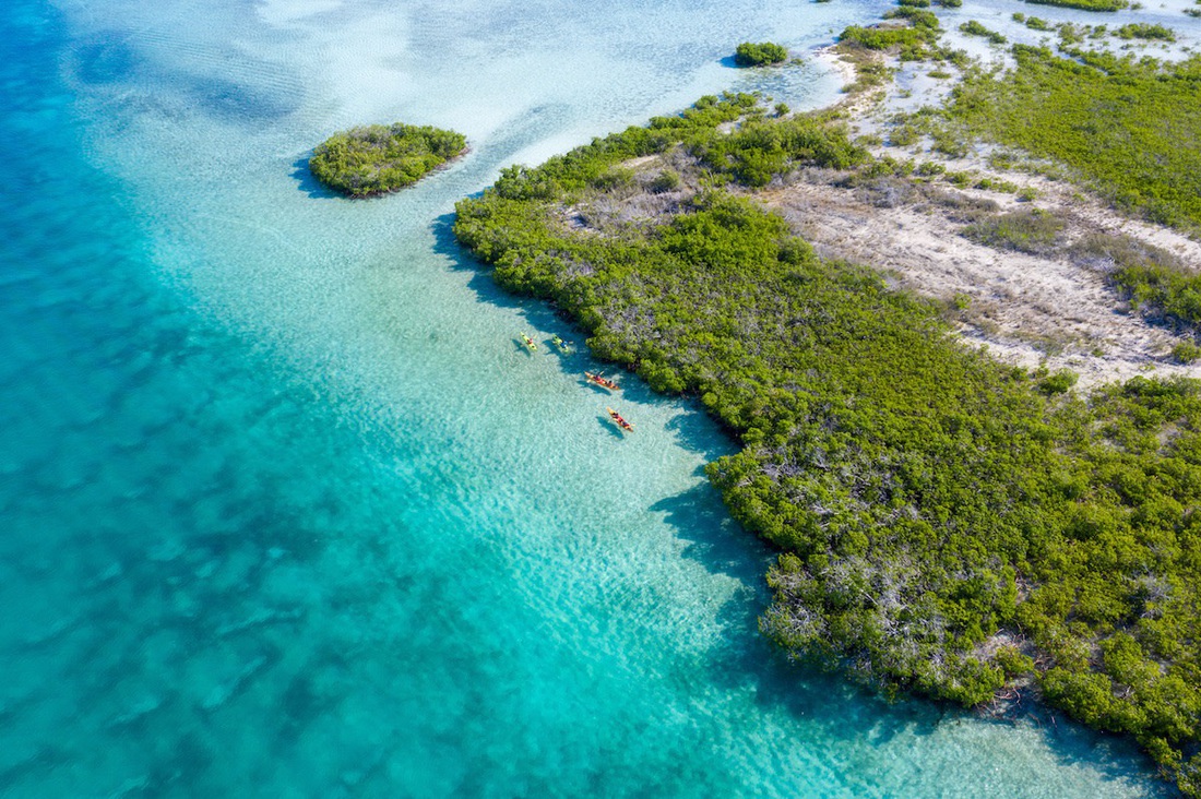 Google tôn vinh 6 địa danh nhân Ngày Trái đất 22-4- Ảnh 2. Quần đảo Turks và Caicos - Ảnh: GETTY IMAGES