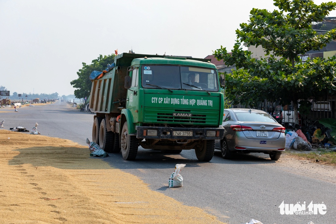 Hai xe ô tô tránh sát nhau vì mặt đường bị chiếm gần hết để phơi lúa - Ảnh: HOÀNG TÁO