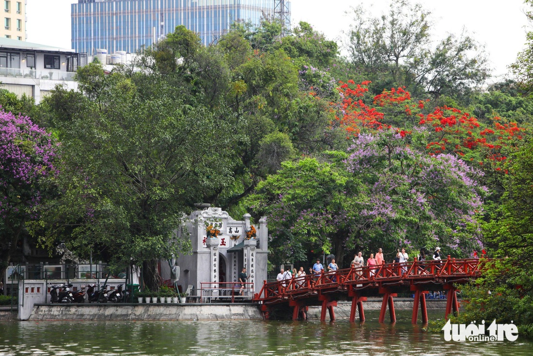 Sắc tím bằng lăng, sắc đỏ của hoa phượng đua nhau tô thắm trước lối vào đền Ngọc Sơn - Ảnh: DANH KHANG