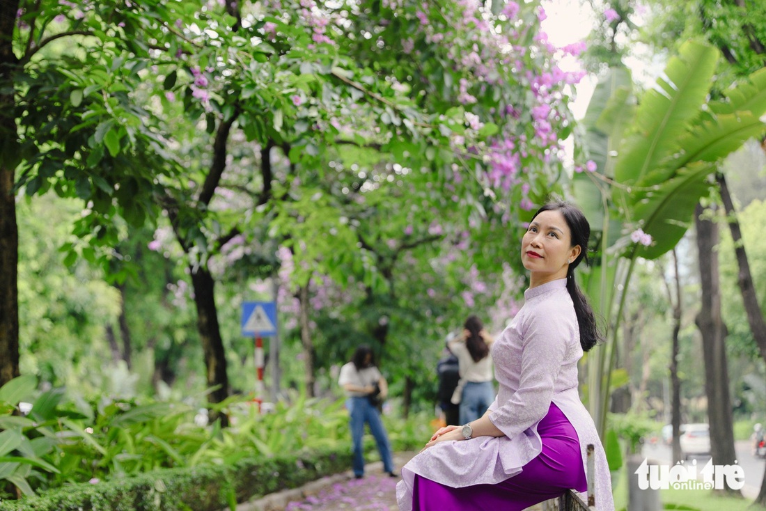 Hàng bằng lăng trên phố Kim Mã là điểm đến được người dân, du khách yêu thích tìm đến check-in - Ảnh: DANH KHANG