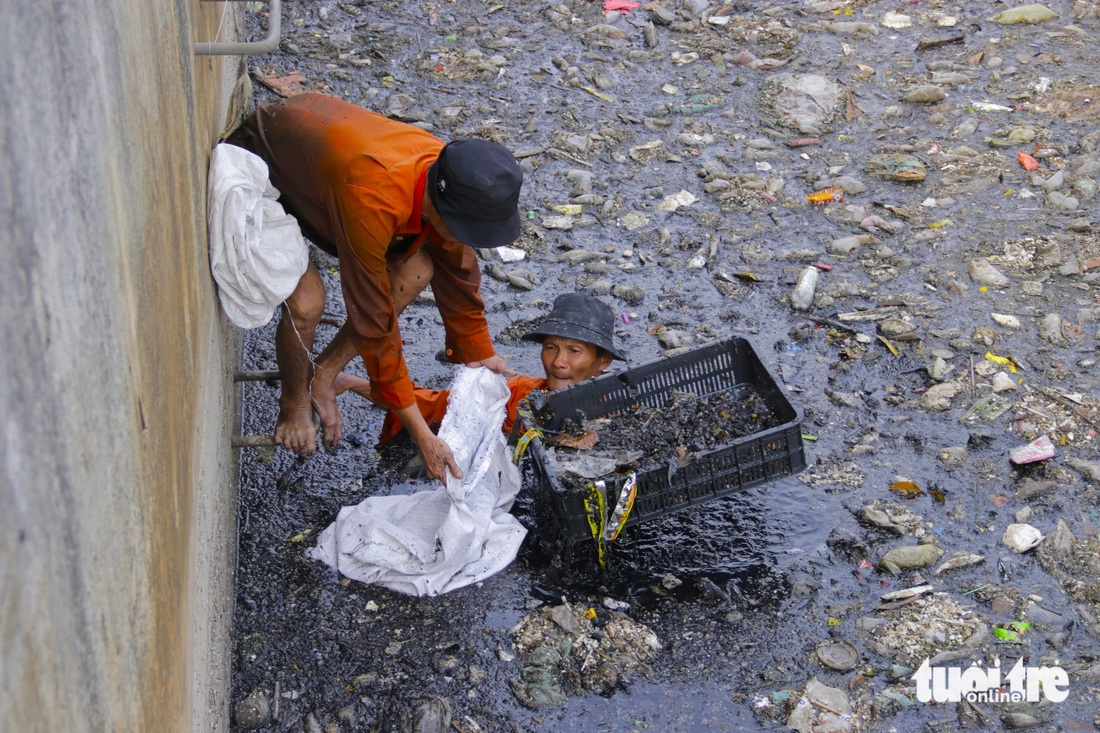 Rác thải ứ đọng kín một đoạn kênh Nước Đen (phường Bình Hưng Hòa, quận Bình Tân) - Ảnh: TIẾN QUỐC