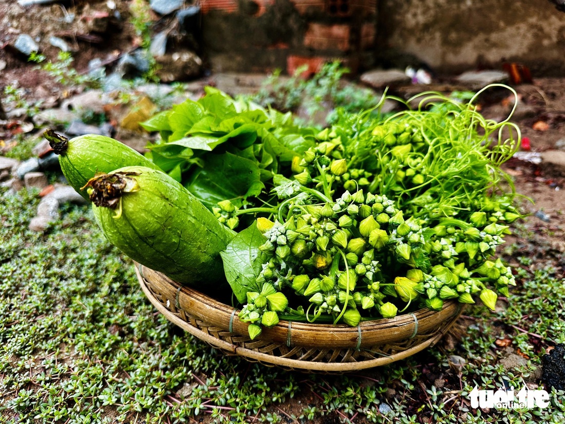 Rổ rau đồng: mướp, bông mướp, rau lang - Ảnh: ĐẶNG TUYẾT