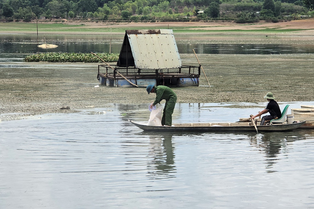 Hồ Sông Mây hiện đã sạch xác cá chết, lực lượng chức năng đang rải vôi khử khuẩn, khử mùi hồi để đảm bảo môi trường - Ảnh: A.B.