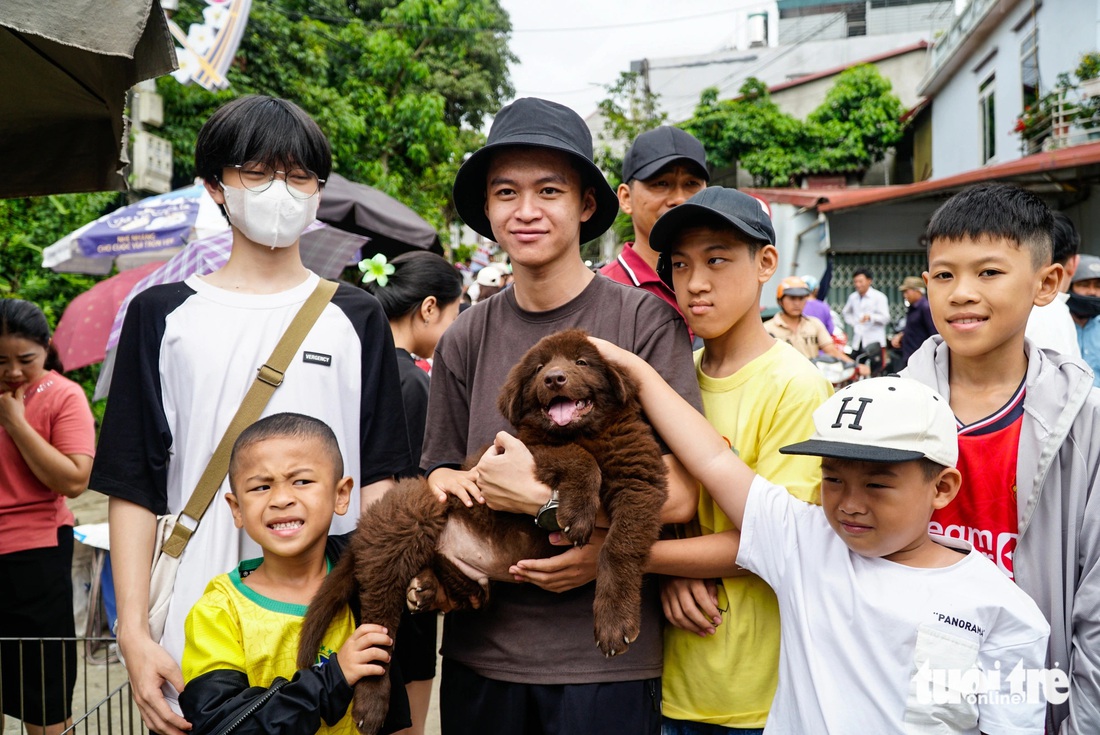 Khu bán chó con được các bạn nhỏ yêu thích nhất