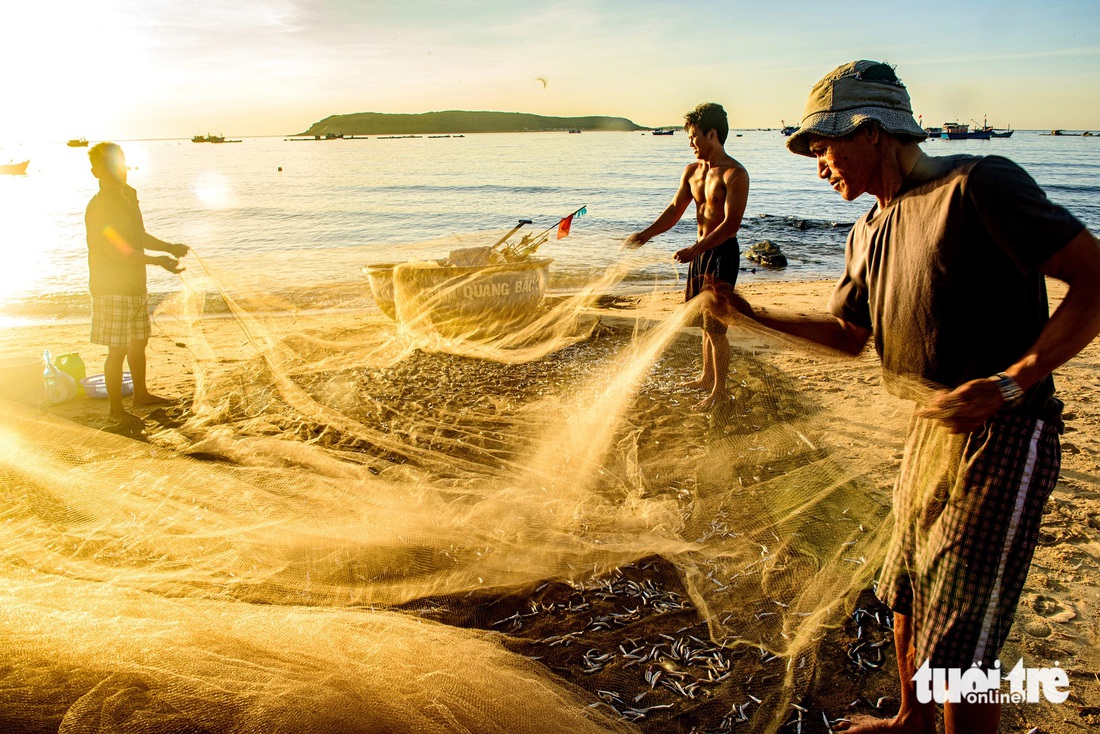 Bên cạnh những con tàu đánh bắt trên biển, vào mùa cá cơm, những ngư dân kéo lưới gần bờ vẫn bội thu khi kéo trúng luồng cá