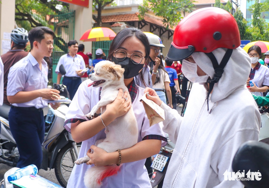 Tại điểm thi tốt nghiệp Trường THPT Lê Quý Đôn (TP.HCM), người thân của thí sinh Thanh Thảo đem theo một “đứa em” thân thiết - chú cún con dễ thương - chờ Thảo ra về sau mỗi buổi thi. Thảo cho biết bạn khá thoải mái khi bước vào kỳ thi tốt nghiệp THPT 2024 - Ảnh: TRỌNG NHÂN