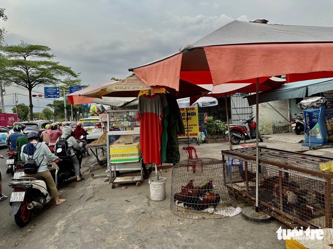 Đủ các loại mặt hàng được bày bán trên đoạn ngã tư Nguyễn Văn Linh - Phạm Hùng - Ảnh: NGỌC QUÝ