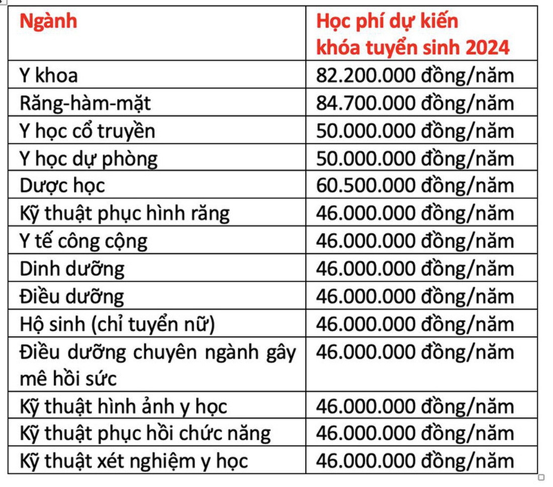 Học phí ngành y dược các trường ở TP.HCM tăng, có ngành trên 200 triệu- Ảnh 2.