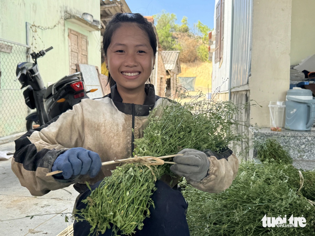 Cột lại thành bó - Ảnh: LÊ TRUNG