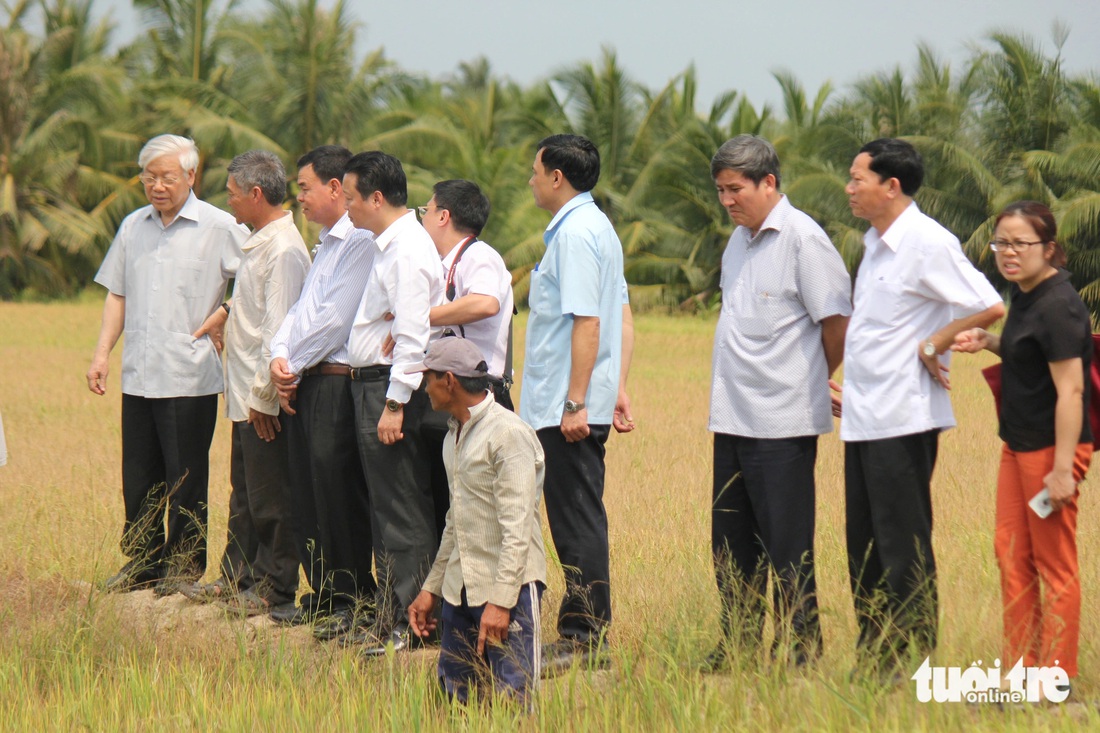 Tổng bí thư Nguyễn Phú Trọng cùng nông dân xuống các đám ruộng bị thiệt hại trong mùa khô 2016 tại Bến Tre để xem xét - Ảnh: MẬU TRƯỜNG