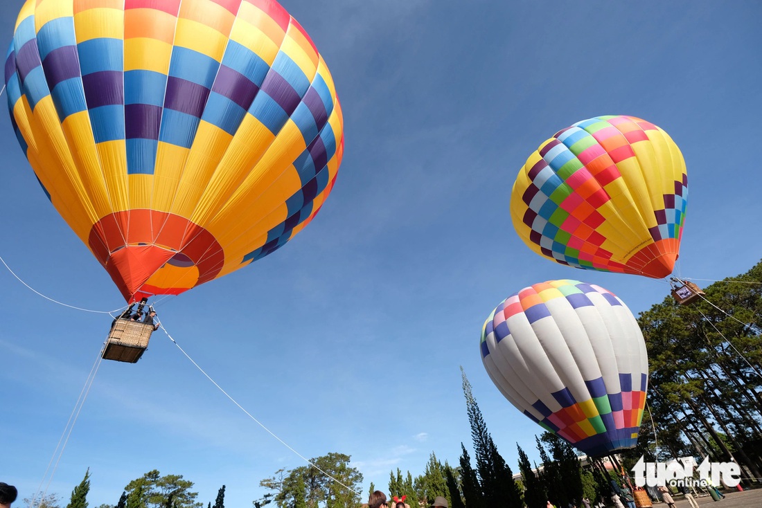 Festival hoa Đà Lạt sẽ diễn ra gần 1 tháng, gắn với âm nhạc - Ảnh 3.