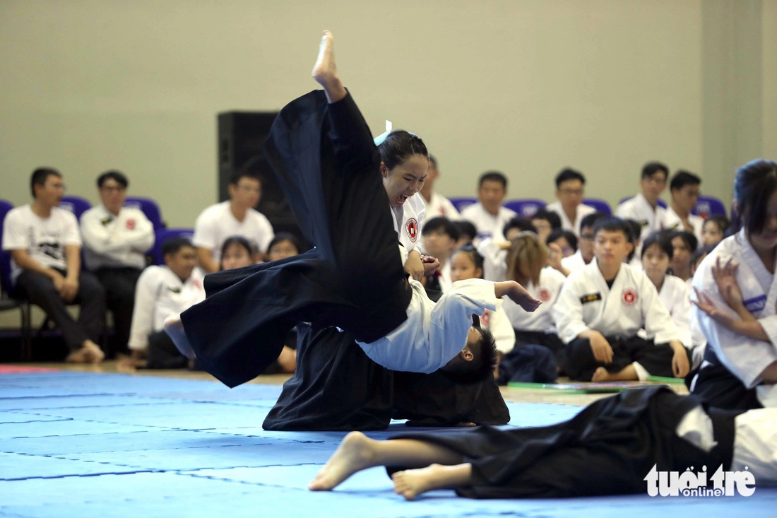 Mãn nhãn với Liên hoan võ thuật aikido tại TP.HCM - Ảnh 1.