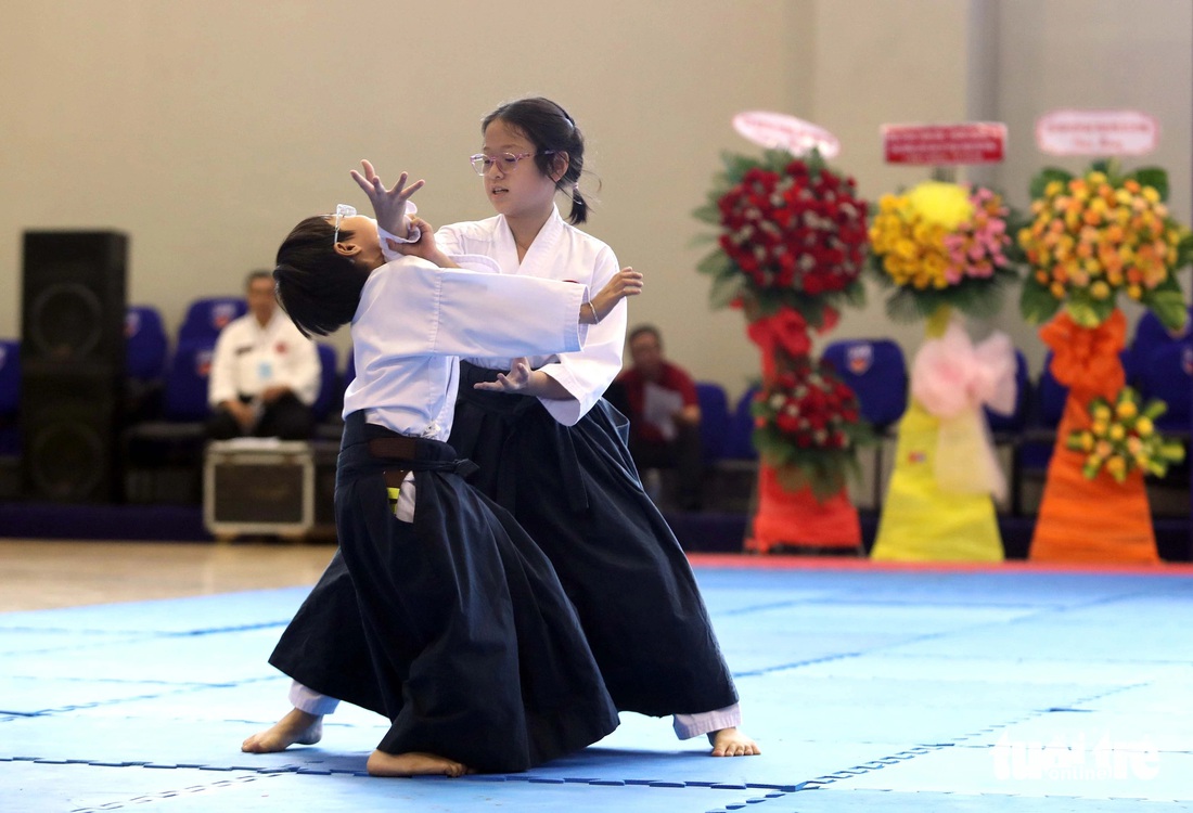 Mãn nhãn với Liên hoan võ thuật aikido tại TP.HCM - Ảnh 5.